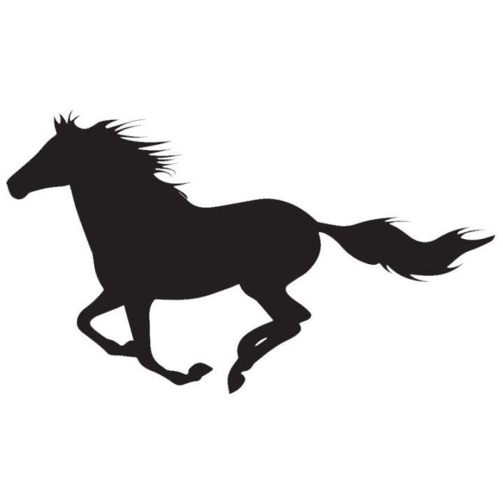 Horse Vinyl Decal Sticker V73 - DecalsHouse