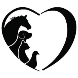 Horse Vinyl Decal Sticker V76 - DecalsHouse