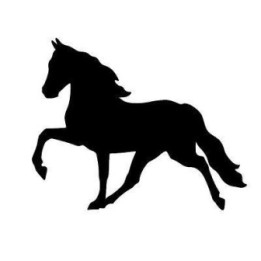 Horse Vinyl Decal Sticker V79 - DecalsHouse