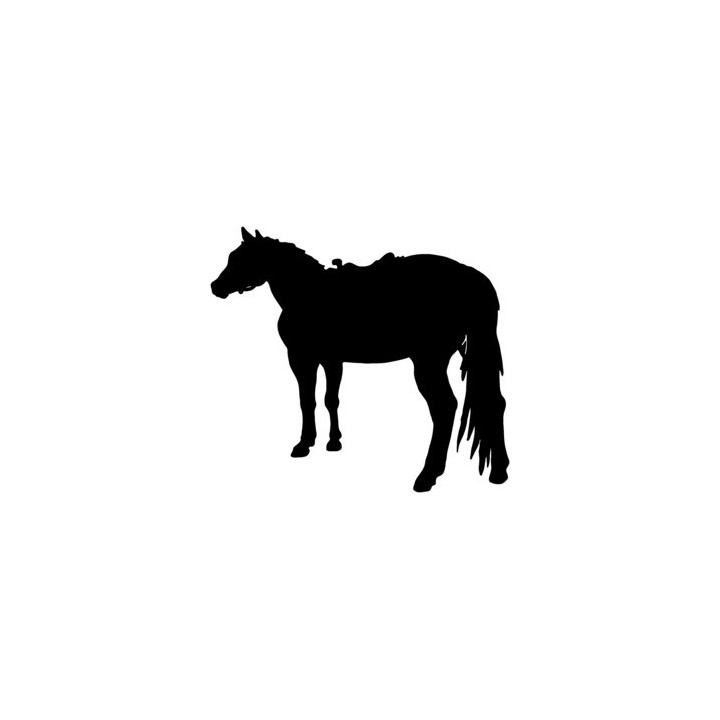 Horse Vinyl Decal Sticker V8 - DecalsHouse