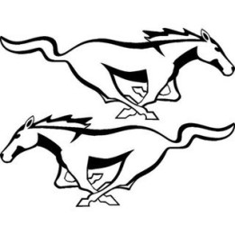 Horse Vinyl Decal Sticker V84 - DecalsHouse