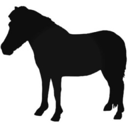 Horse Silhouette Stickers – Pony Equestrian Decals (2-Pack)