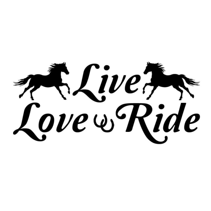 Horse Vinyl Decal Sticker V93 - DecalsHouse