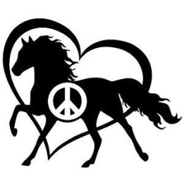 Horse Vinyl Decal Sticker V95 - DecalsHouse
