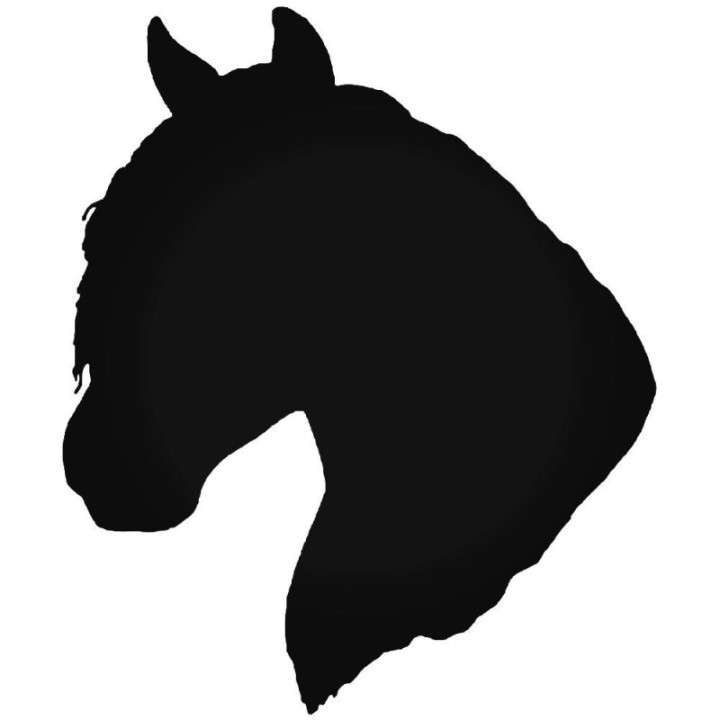 Horse Vinyl Decal Sticker V97 - DecalsHouse