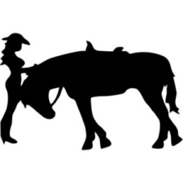 Horse Vinyl Decal Sticker V99 - DecalsHouse