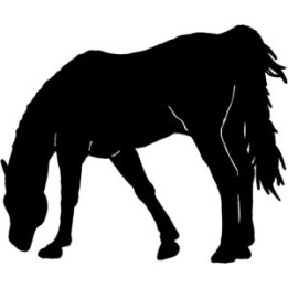 Horse Vinyl Decal Sticker - DecalsHouse