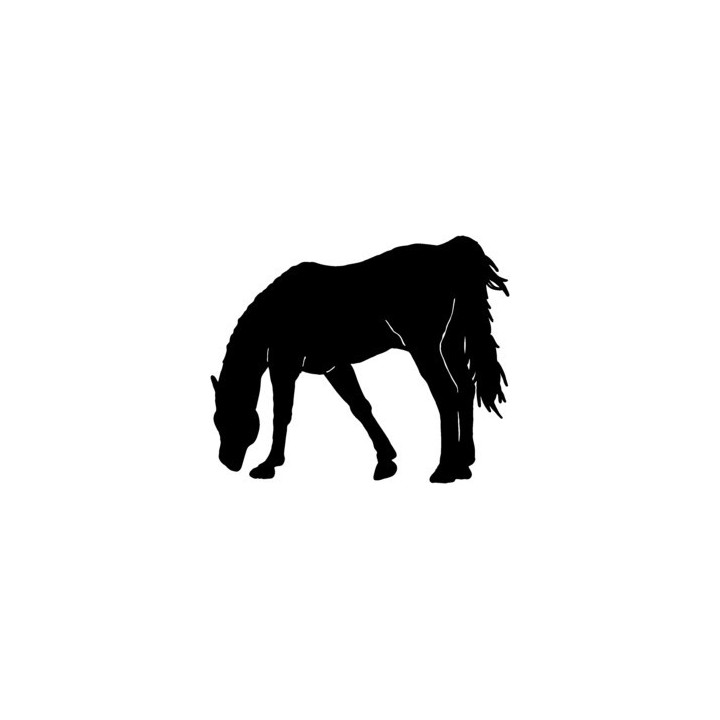 Horse Vinyl Decal Sticker - DecalsHouse