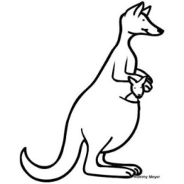 Kangaroo Vinyl Decal Sticker V14 - DecalsHouse