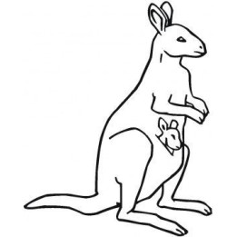 Kangaroo Vinyl Decal Sticker V2 - DecalsHouse