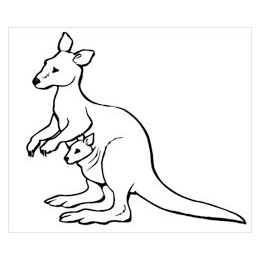 Kangaroo Vinyl Decal Sticker V9 - DecalsHouse