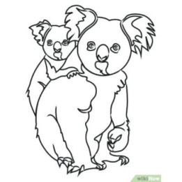 Koala Bear Vinyl Decal Sticker V10 - DecalsHouse