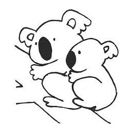 Koala Bear Vinyl Decal Sticker V25 - DecalsHouse