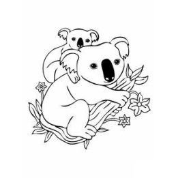 Koala Bear Vinyl Decal Sticker V42 - DecalsHouse