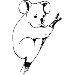Koala Bear Vinyl Decal Sticker V46 - DecalsHouse