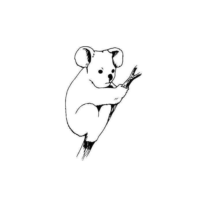 Koala Bear Vinyl Decal Sticker V46 - DecalsHouse