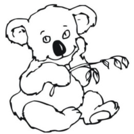 Koala Bear Vinyl Decal Sticker V9 - DecalsHouse