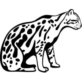 Leopard Vinyl Decal Sticker - DecalsHouse