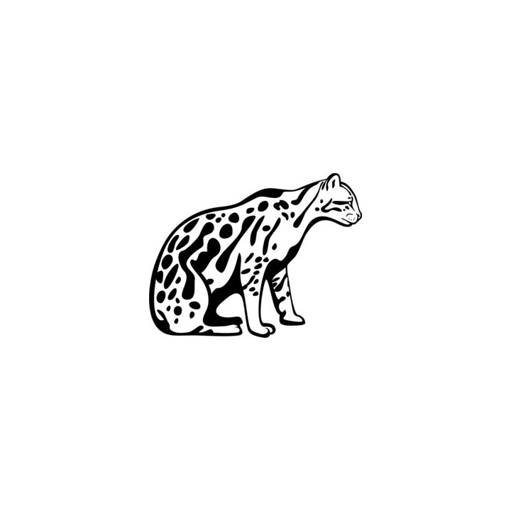 Leopard Vinyl Decal Sticker - DecalsHouse