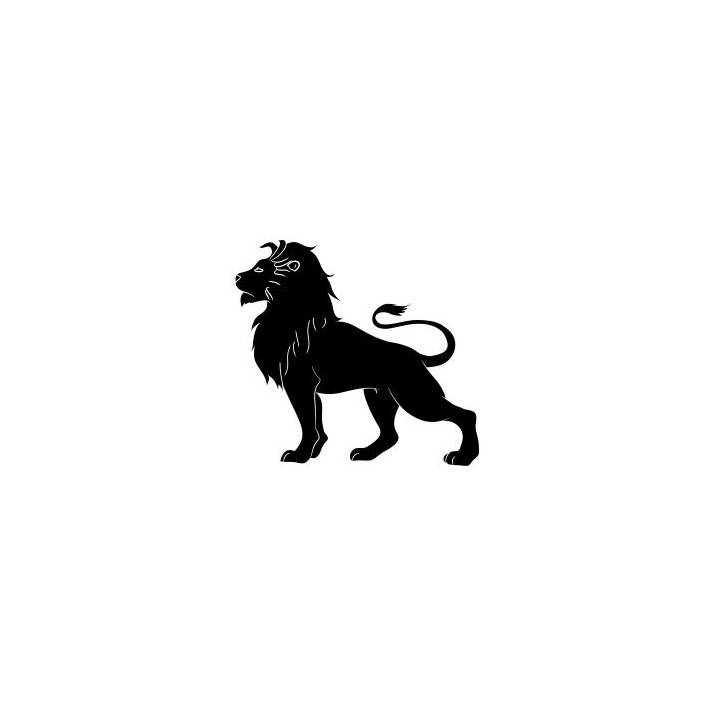 Lion Vinyl Decal Sticker V19 - DecalsHouse