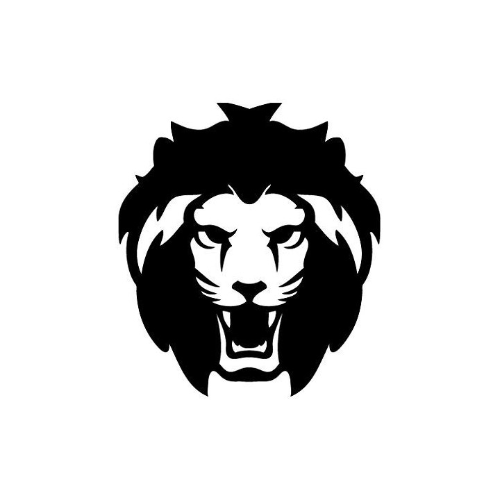 Lion Vinyl Decal Sticker V46 - DecalsHouse