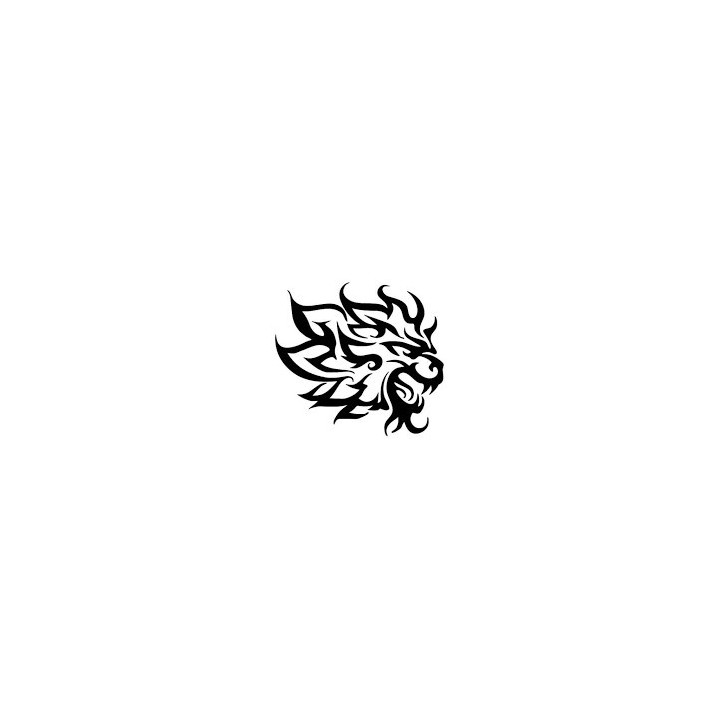 Lion Vinyl Decal Sticker V59 - DecalsHouse