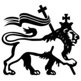 Lion Vinyl Decal Sticker V64 - DecalsHouse