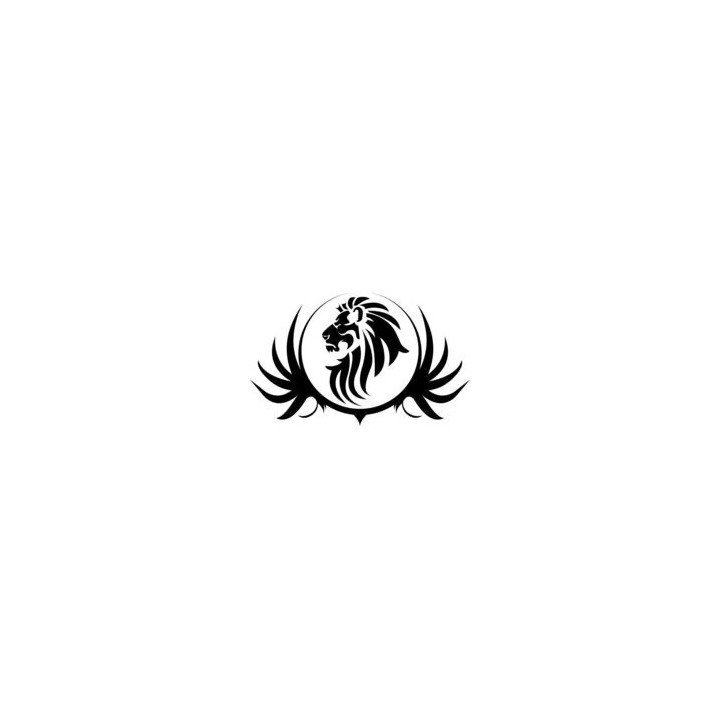 Lion Vinyl Decal Sticker V90 - DecalsHouse