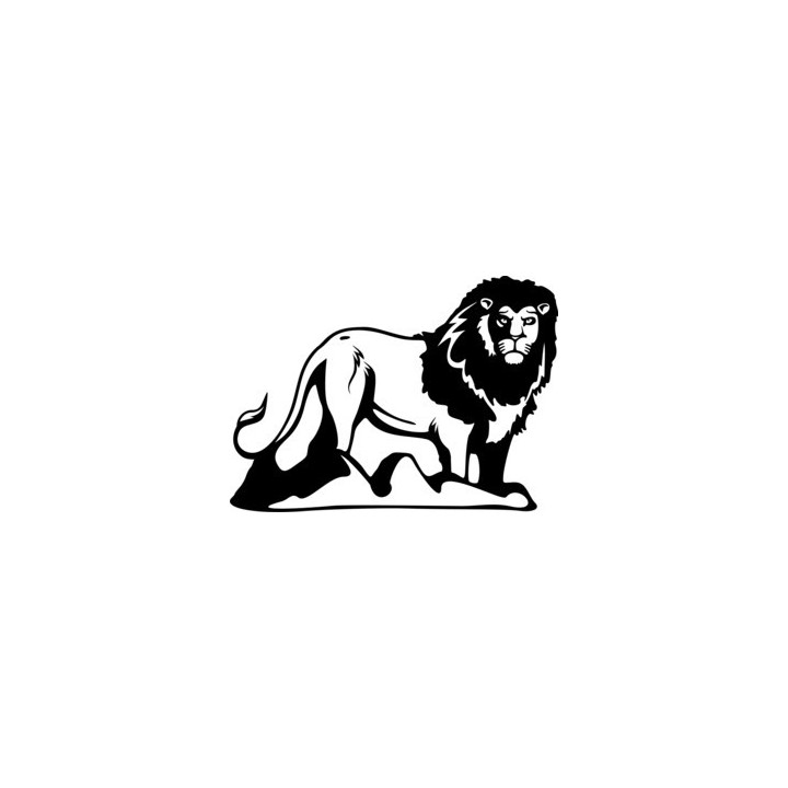 Lion Vinyl Decal Sticker - DecalsHouse