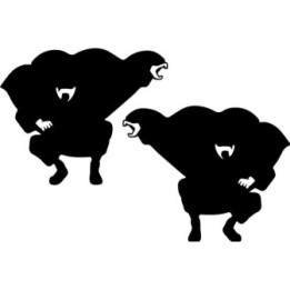 Naruto Pain Stickers – Akatsuki Nagato Decals (2-Pack)