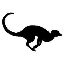 Meerkat Vinyl Decal Sticker V13 - DecalsHouse