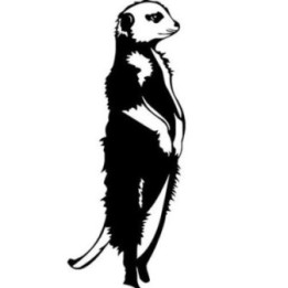 Meerkat Vinyl Decal Sticker V14 - DecalsHouse