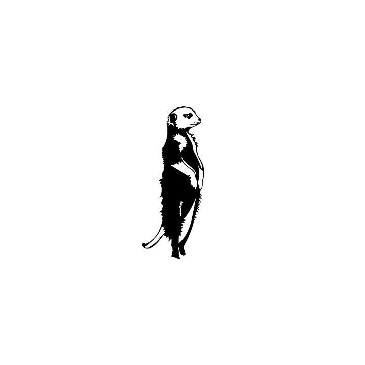 Meerkat Vinyl Decal Sticker V16 - DecalsHouse