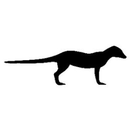 Meerkat Vinyl Decal Sticker V2 - DecalsHouse