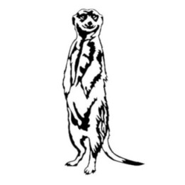 Meerkat Vinyl Decal Sticker V20 - DecalsHouse