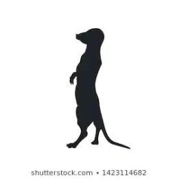 Meerkat Vinyl Decal Sticker V27 - DecalsHouse