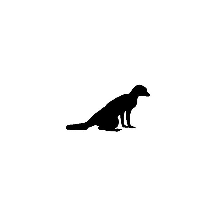 Meerkat Vinyl Decal Sticker V3 - DecalsHouse