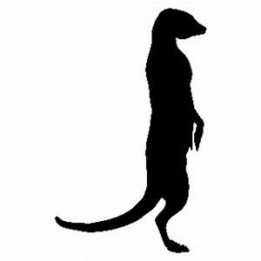 Meerkat Vinyl Decal Sticker V33 - DecalsHouse