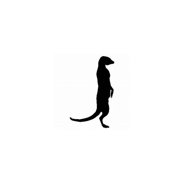Meerkat Vinyl Decal Sticker V33 - DecalsHouse