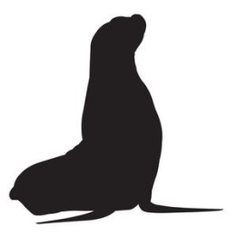 Meerkat Vinyl Decal Sticker V34 - DecalsHouse