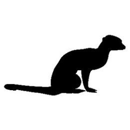 Meerkat Vinyl Decal Sticker V4 - DecalsHouse