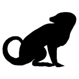 Meerkat Vinyl Decal Sticker V8 - DecalsHouse