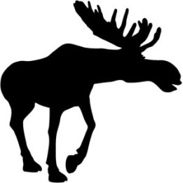 Moose Vinyl Decal Sticker V10 - DecalsHouse