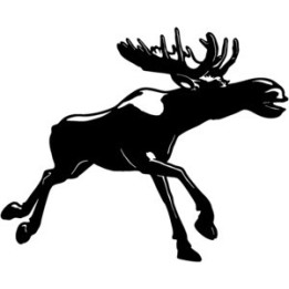 Moose Vinyl Decal Sticker V11 - DecalsHouse