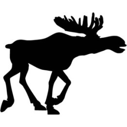 Moose Vinyl Decal Sticker V18 - DecalsHouse