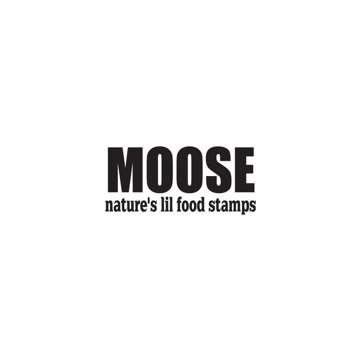 Moose Vinyl Decal Sticker V20 - DecalsHouse