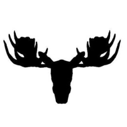 Moose Vinyl Decal Sticker V31 - DecalsHouse