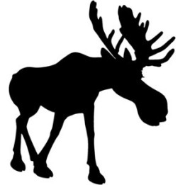 Moose Vinyl Decal Sticker V6 - DecalsHouse