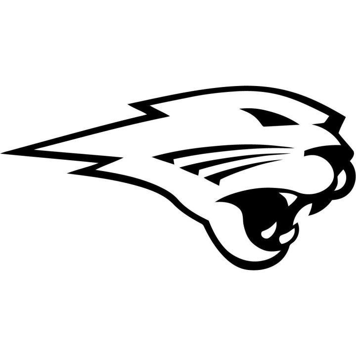 Panther Vinyl Decal Sticker V28 - DecalsHouse