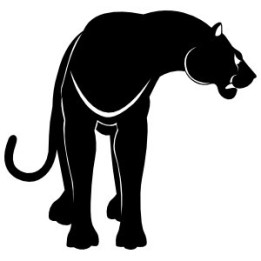 Panther Vinyl Decal Sticker V34 - DecalsHouse